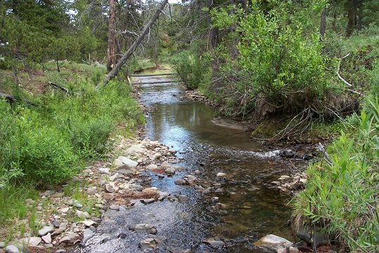 IMG: Dick Creek